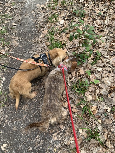 [Image: IMG-7841.jpg]