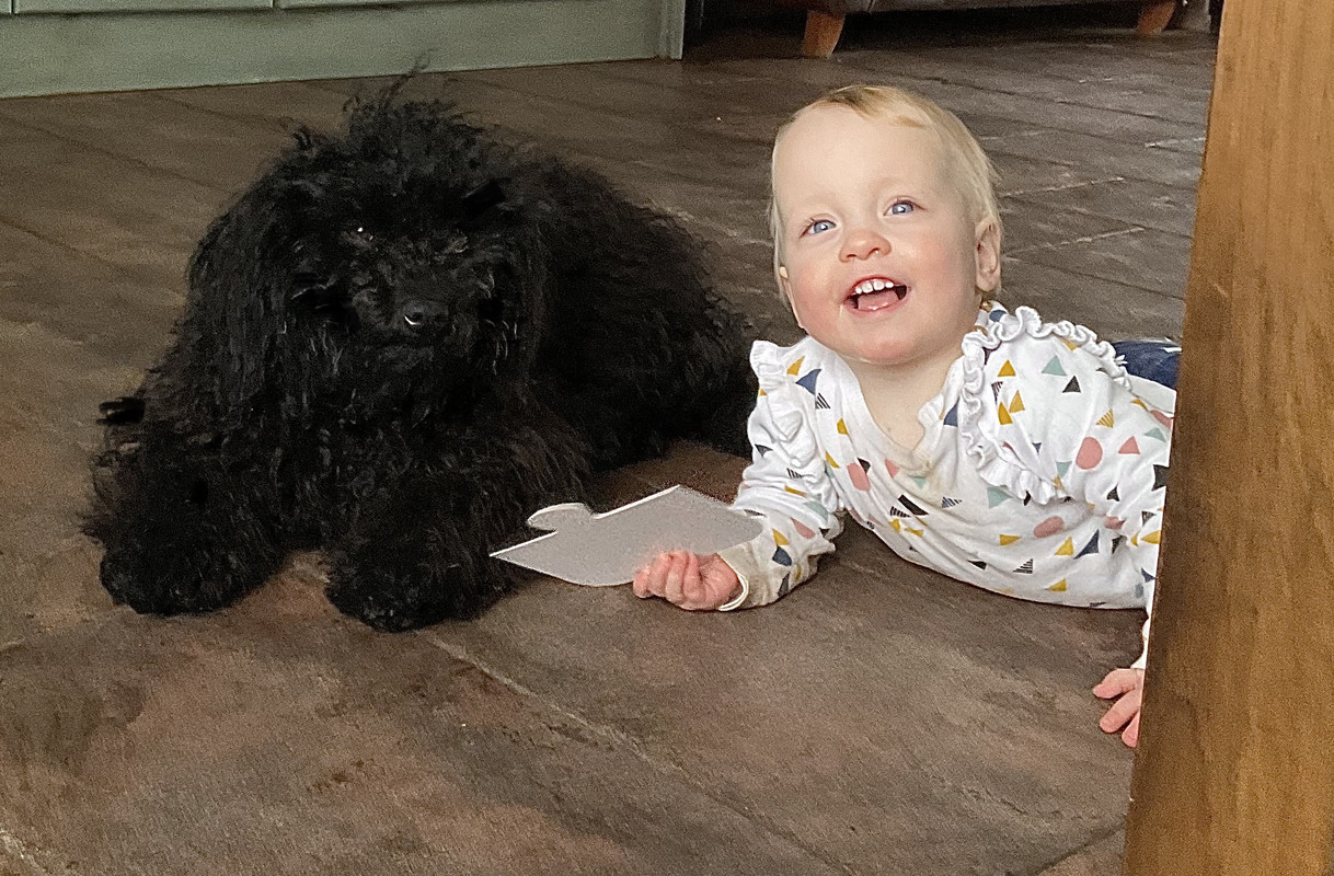 935F4C51-A300-4A8E-AD65-A9F62C83BA78