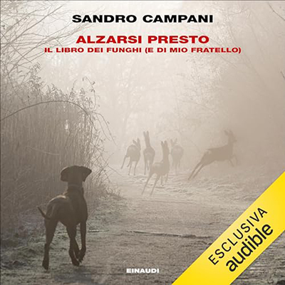 Sandro Campani - Alzarsi presto (2024) (mp3 - 128 kbps)