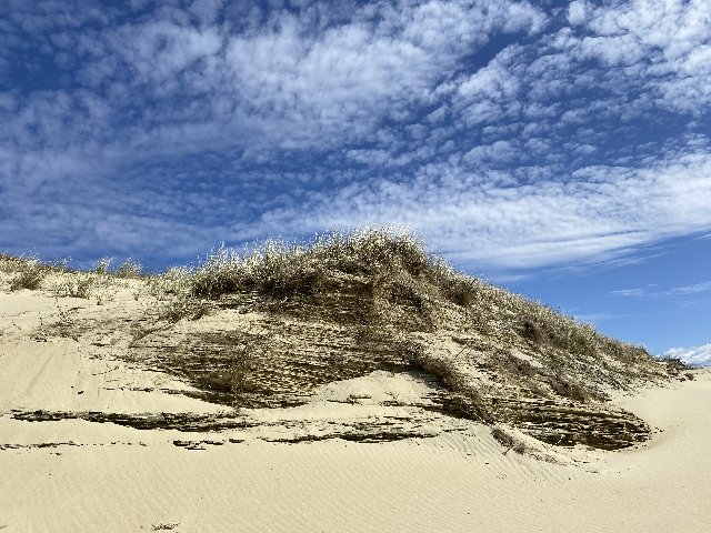 736-C58-B9-CC30-4-FD2-A584-B5-BDCC5-CF56