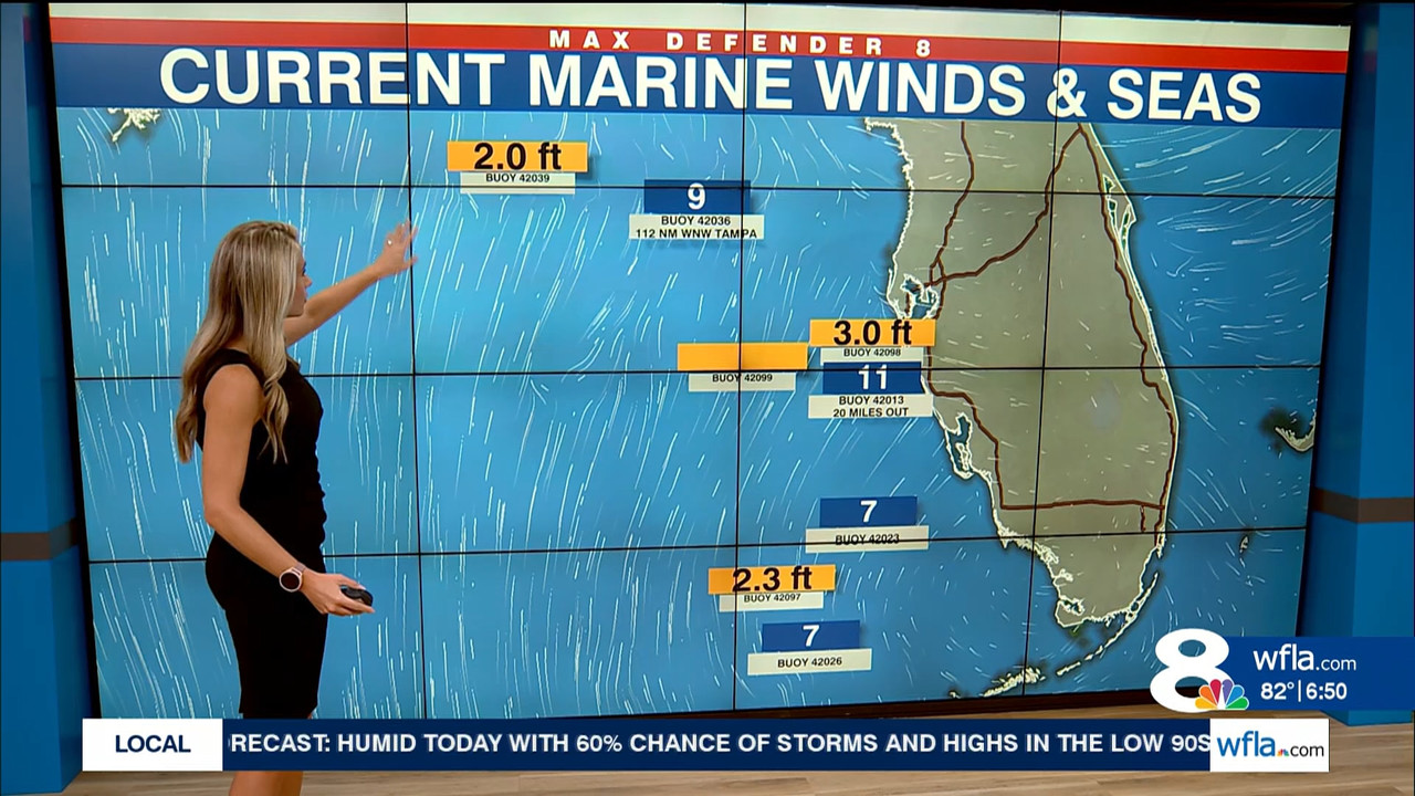 NewsChannel 8 Today at 6a_20230901_11001200.ts_snapshot_00.51.21.965
