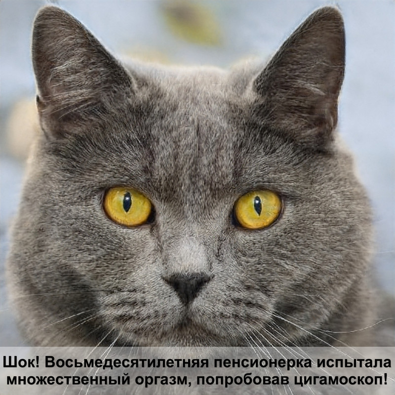 расческа для кошек фурминатор отзывы