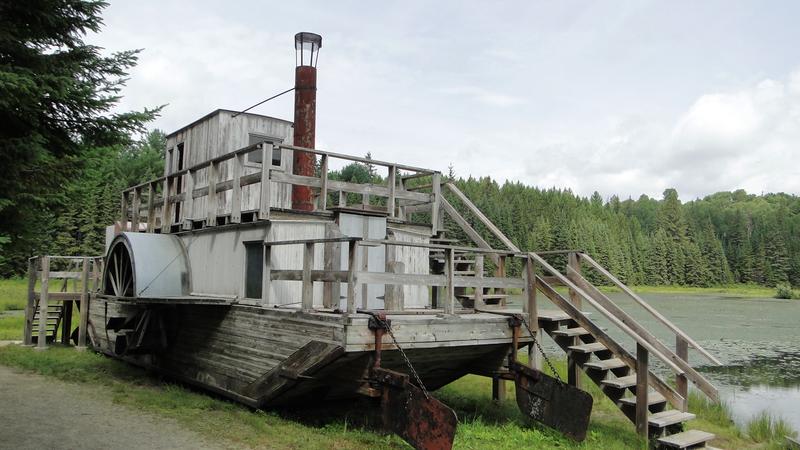 3.000 km por el este de Canadá - Blogs de Canada - Algonquin (6)