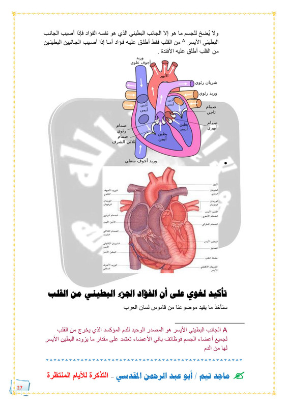 القلب والفؤاد Untitled27