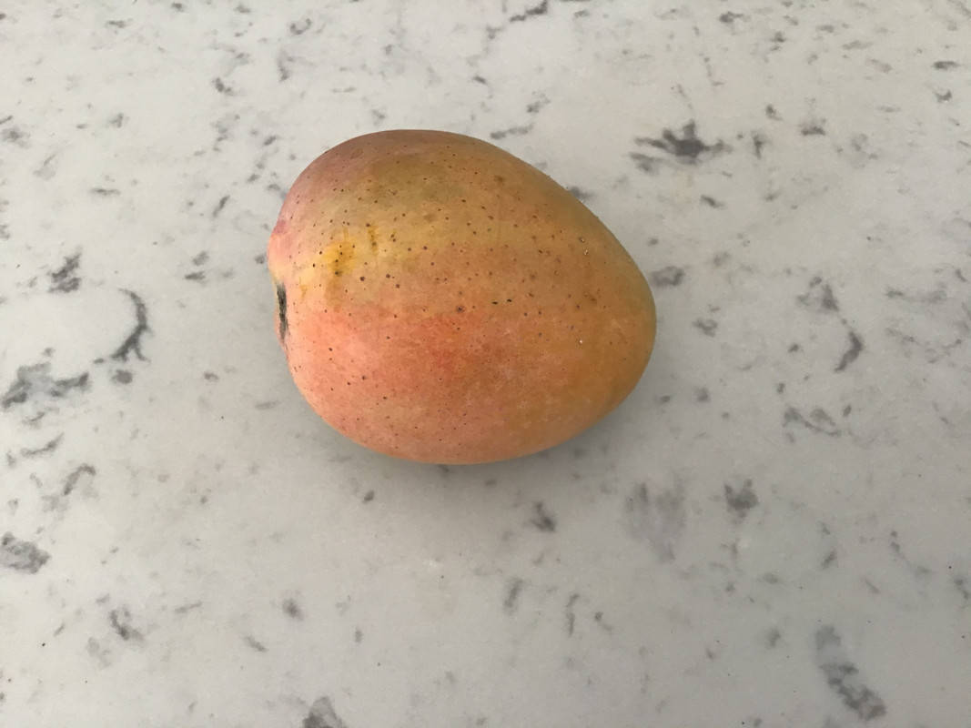 1C71BFF5-83BE-4C46-B8E1-F18BB84C4380