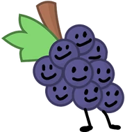 GrapesNaturalIntro (1)