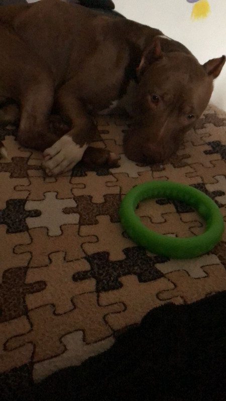 32375A52-767C-4009-90F9-100D2AAD8F34