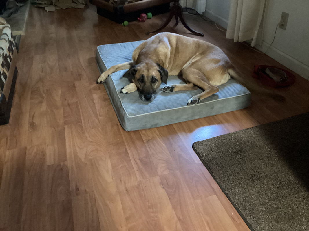 FF1EE445-5E58-4416-AB09-C1A496472594