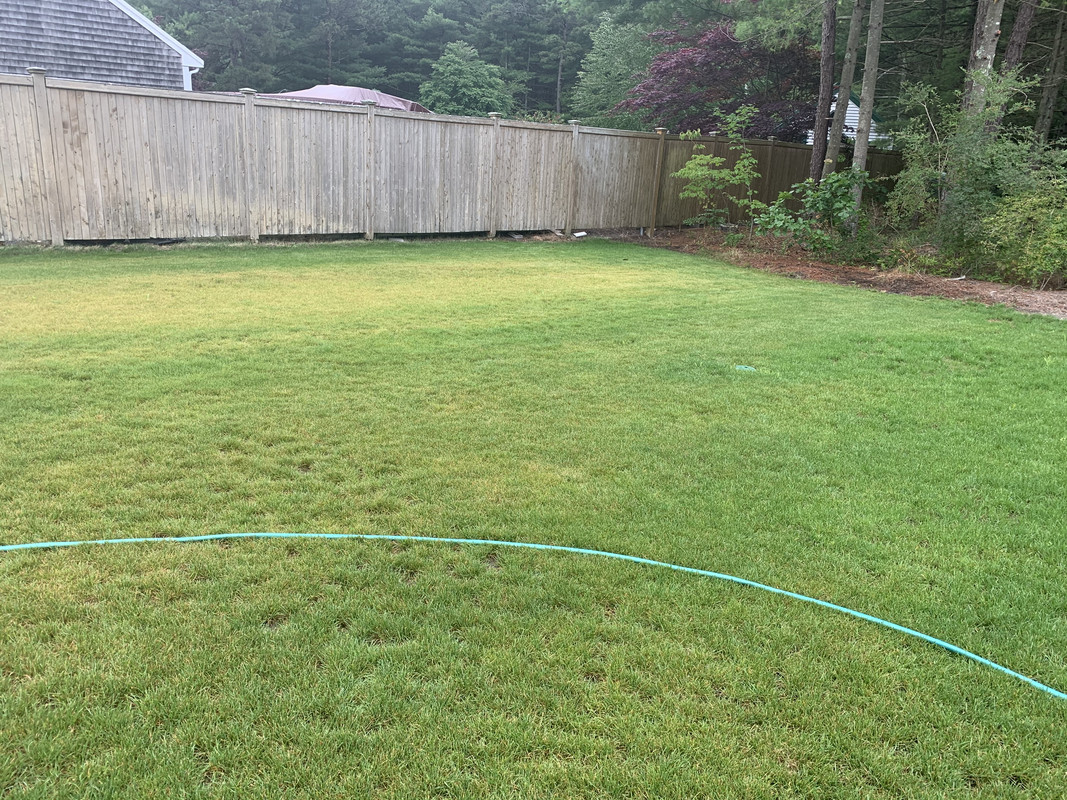 298D585A-20D1-41BF-8993-B6014A07C648