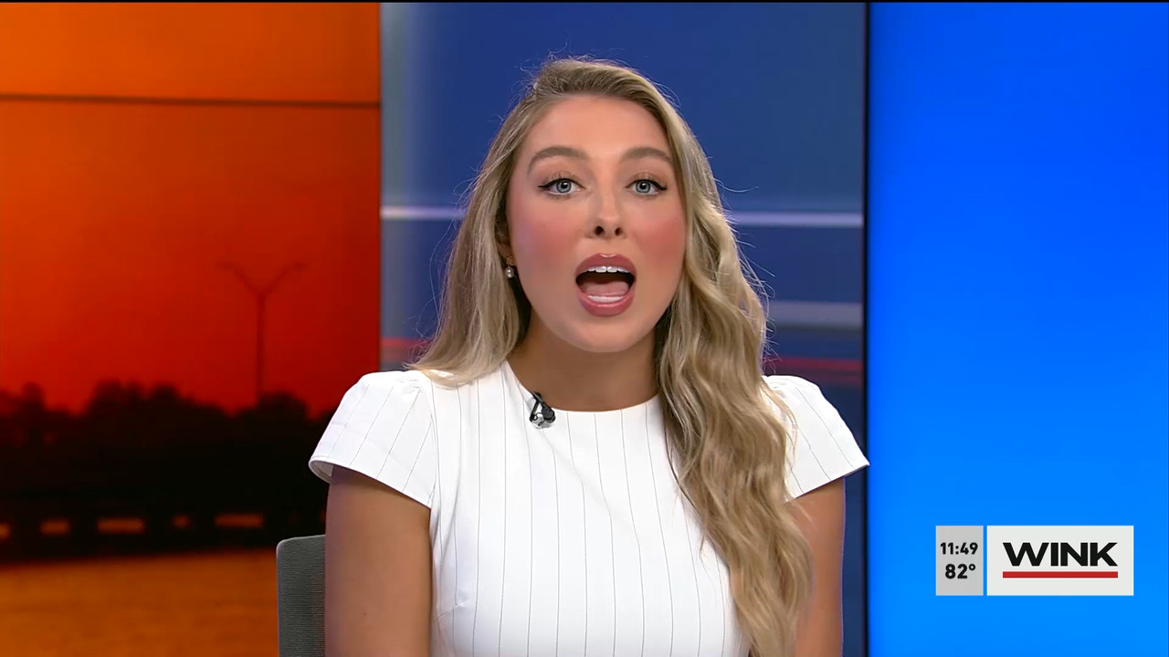 04.02 - 16.30.00 - WINK NEWS at 11 30am  ᴺᵉʷ. Midday news..ts_snapshot_25.41.116