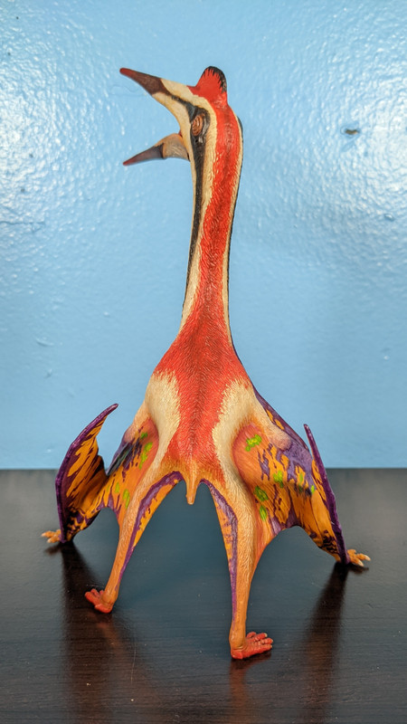 Custom Dinotopia Quetzalcoatlus "Skybax" by paintingdinos PXL-20220306-011704459-MP