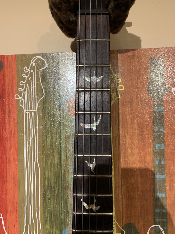 0FA6A238-CDF1-4FB4-9BA4-9D5DB9A53851