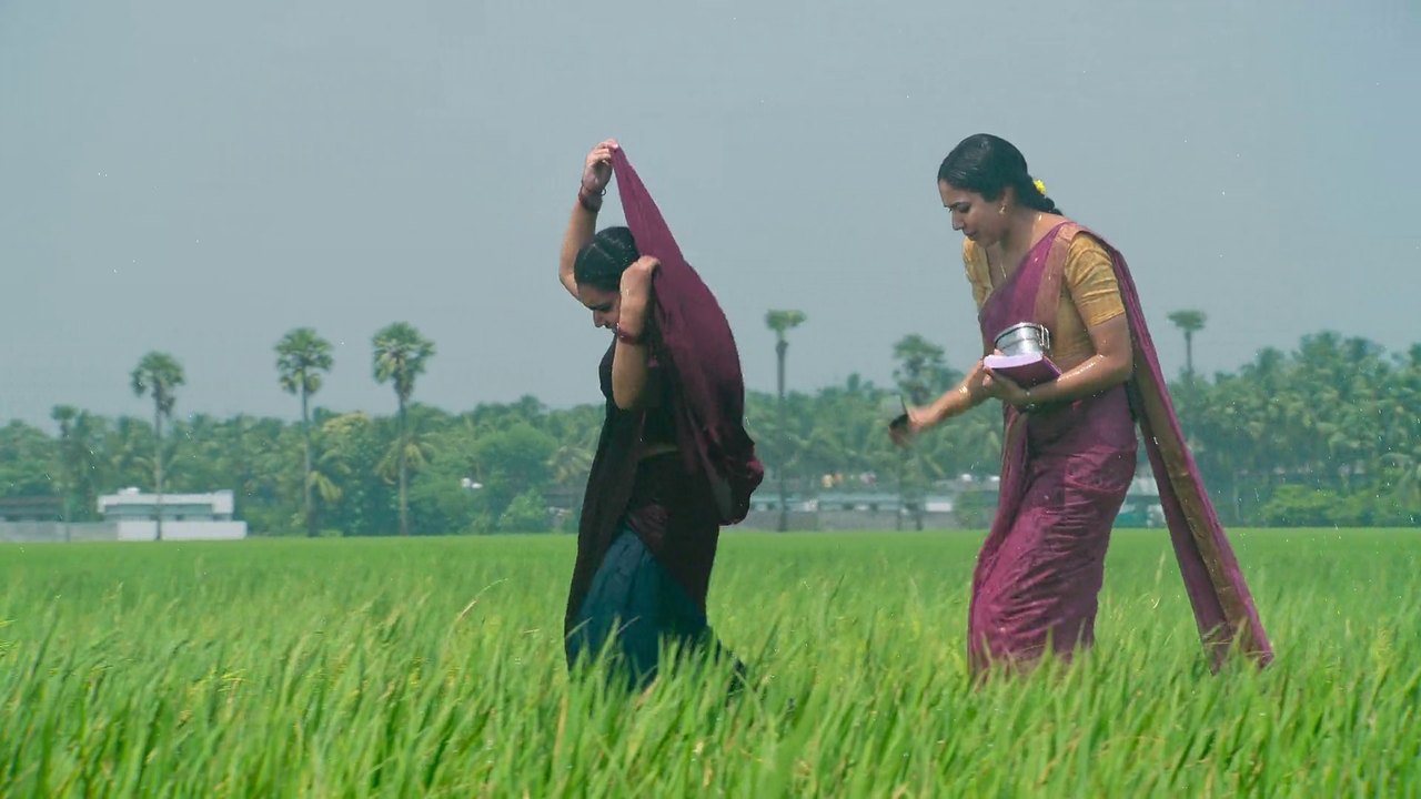 vlcsnap-2025-06-09-08h34m49s737