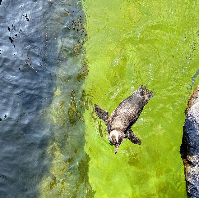 5347-A0-B7-855-D-49-DA-91-E7-34-B6-FCFC5