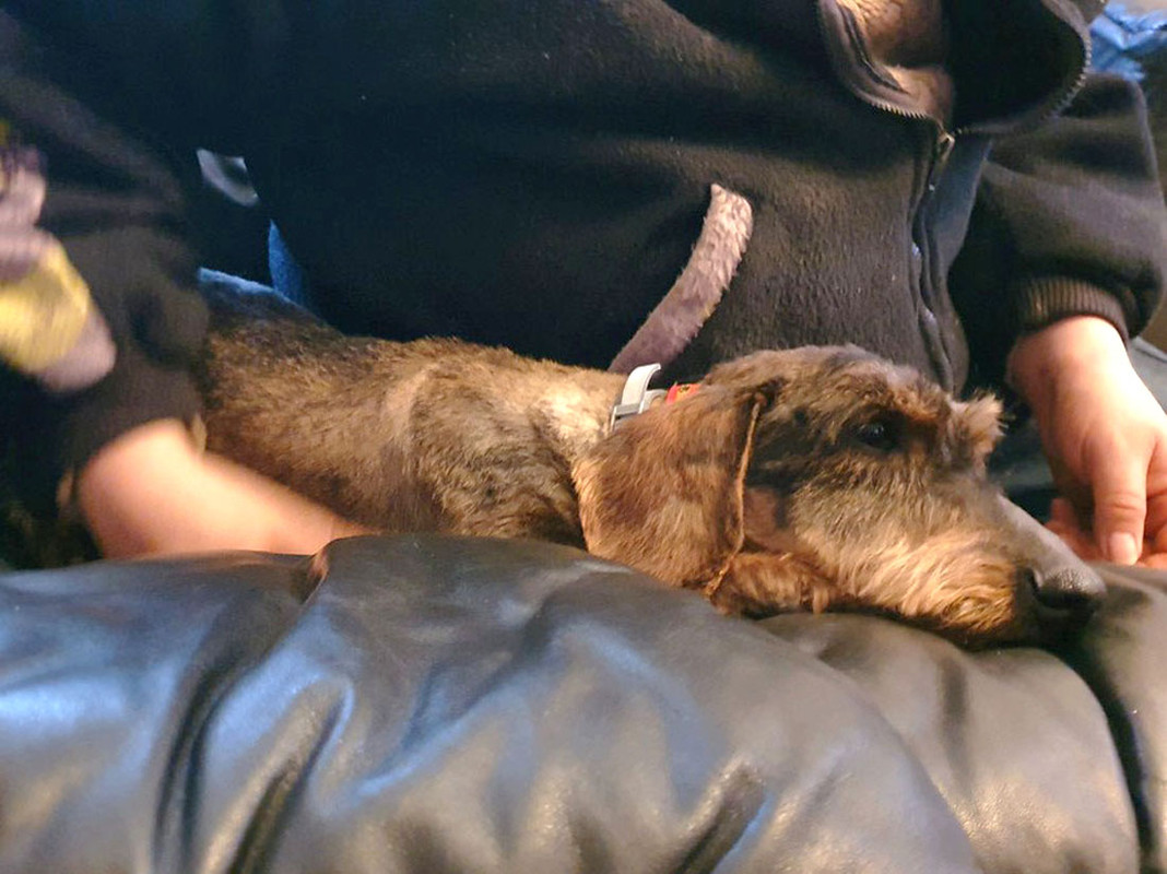 [Image: 20220318-185440.jpg]