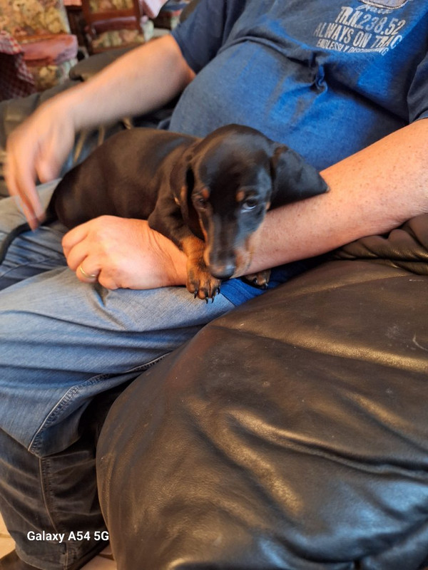 [Image: IMG-20240923-161334.jpg]