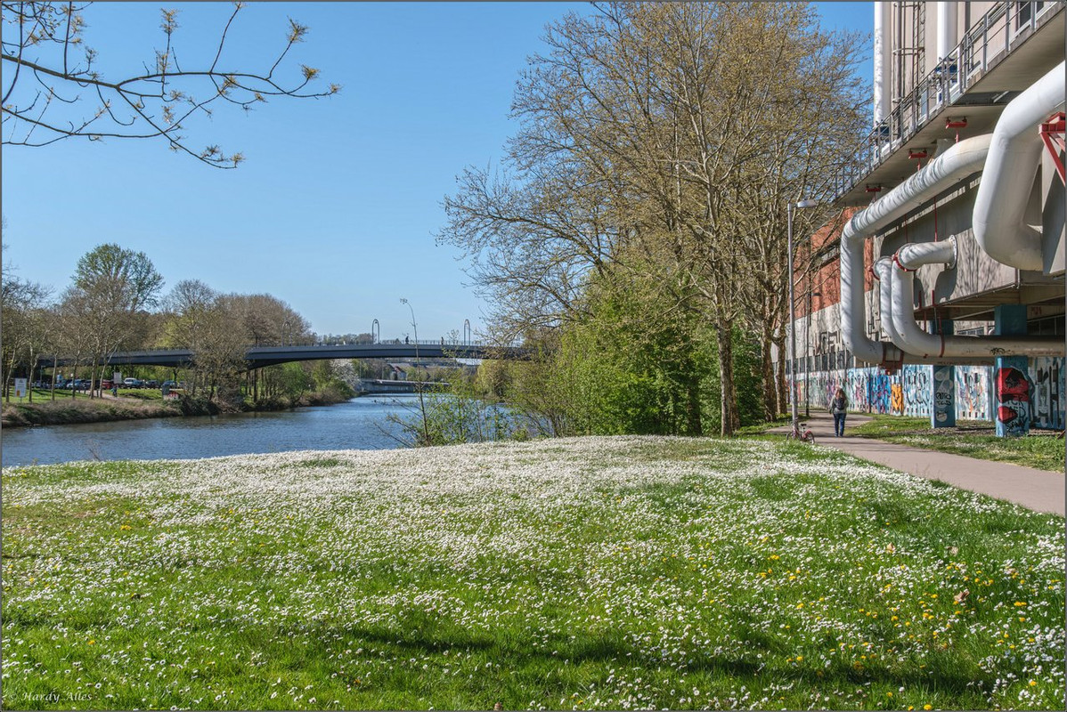 XT5A7757-Verbessert-RR  2025 SB Staden LR ERWZ FB