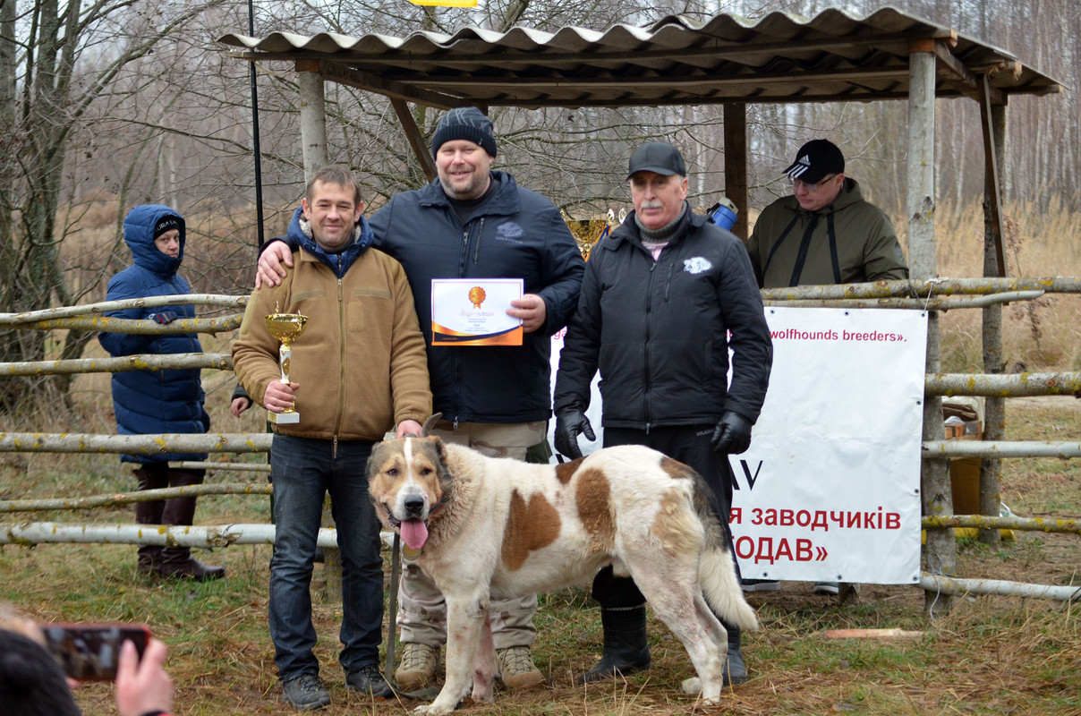 Награждение Халка (2)