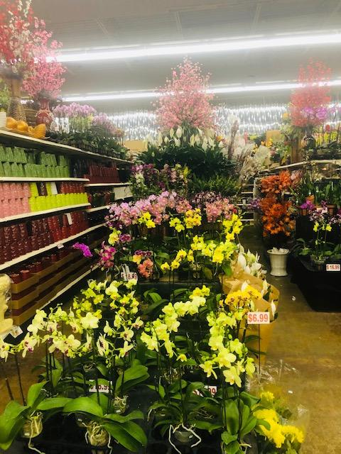 [Image: IMG-2788.jpg]