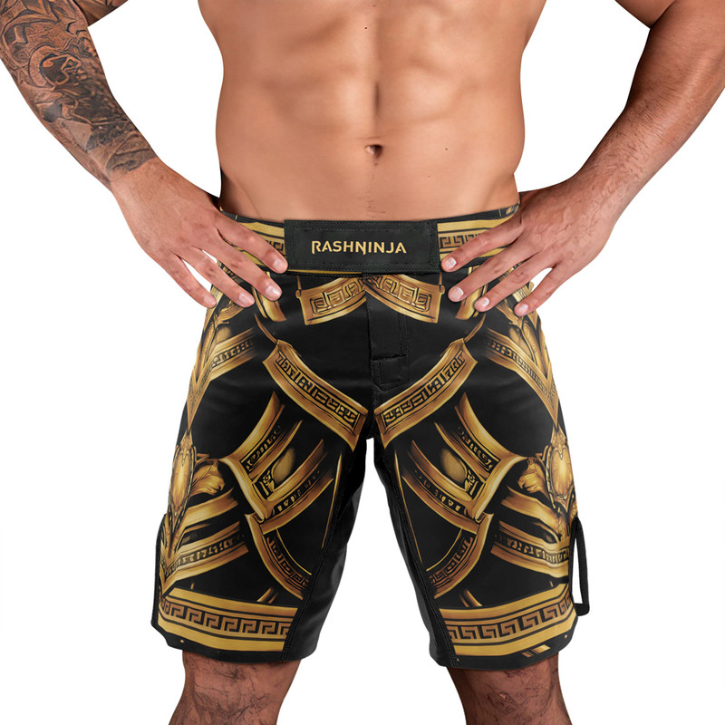 3 pro level fight shorts