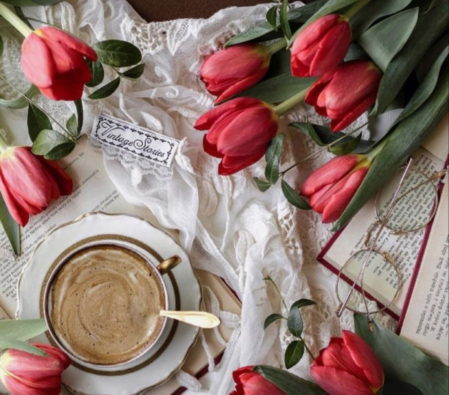 Screenshot_20230301_220444_Pinterest