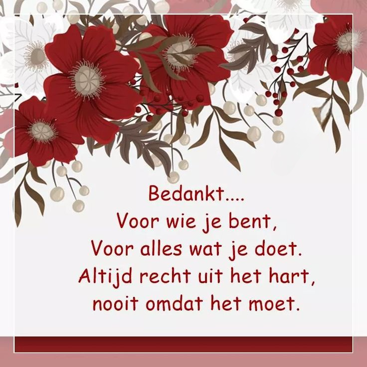 Welkom bij Pps Eddy