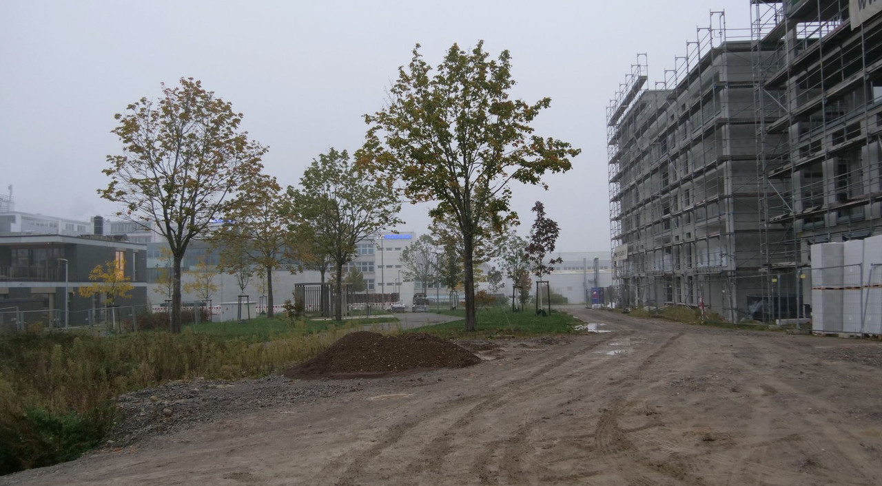 [Bild: 031024-075742-1b.jpg]
