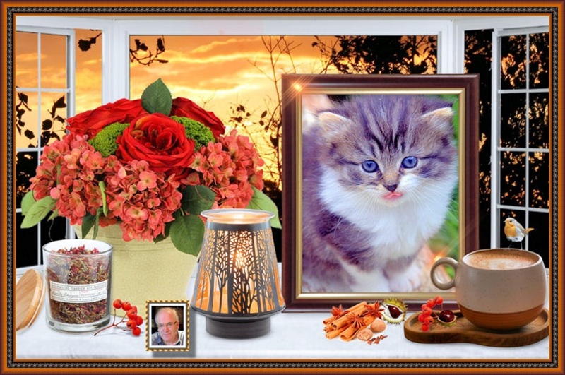 MOOIE-KATER-2