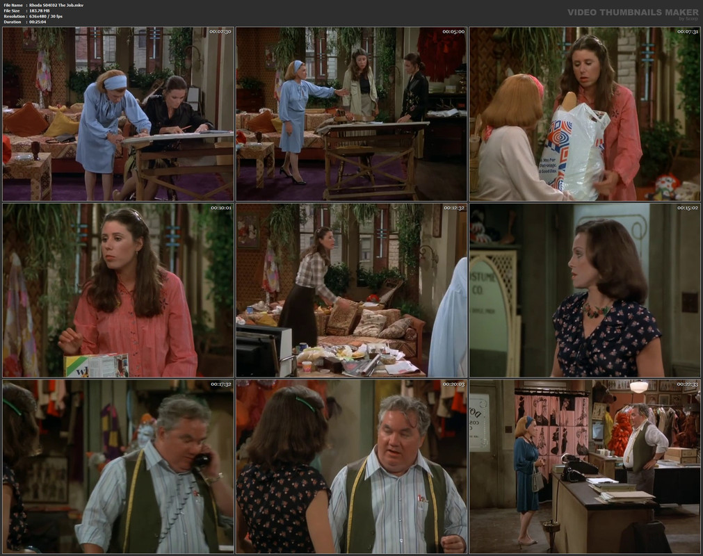 Rhoda S04E02 The Job.mkv