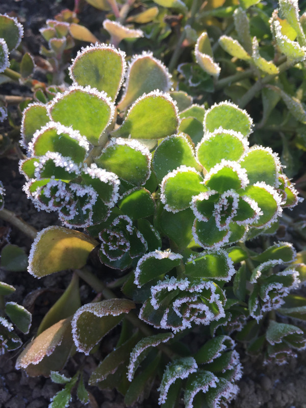 FD98288C-2321-4000-9247-51FC939ADD70