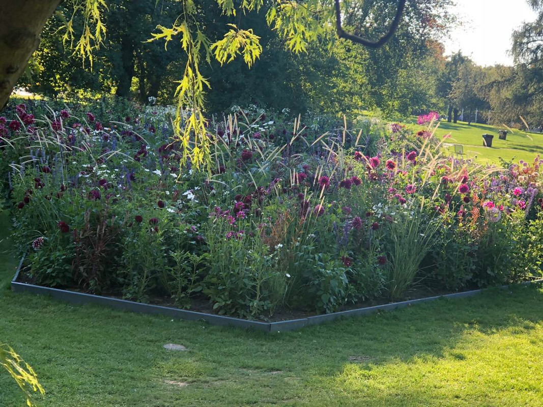 AACD3C9C-2C47-4F6E-8746-487396233C6C