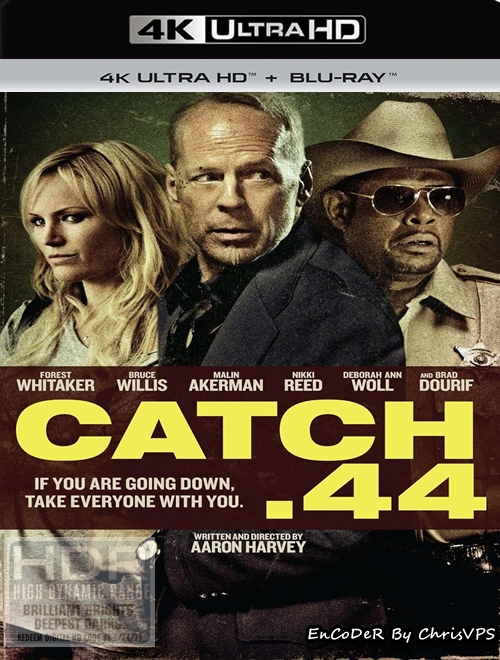 Paragraf 44 / Catch .44 (2011) MULTI.HDR.2160p.BDRemux.TrueHD.DTS.HD.MA.AC3-ChrisVPS / LEKTOR i NAPISY