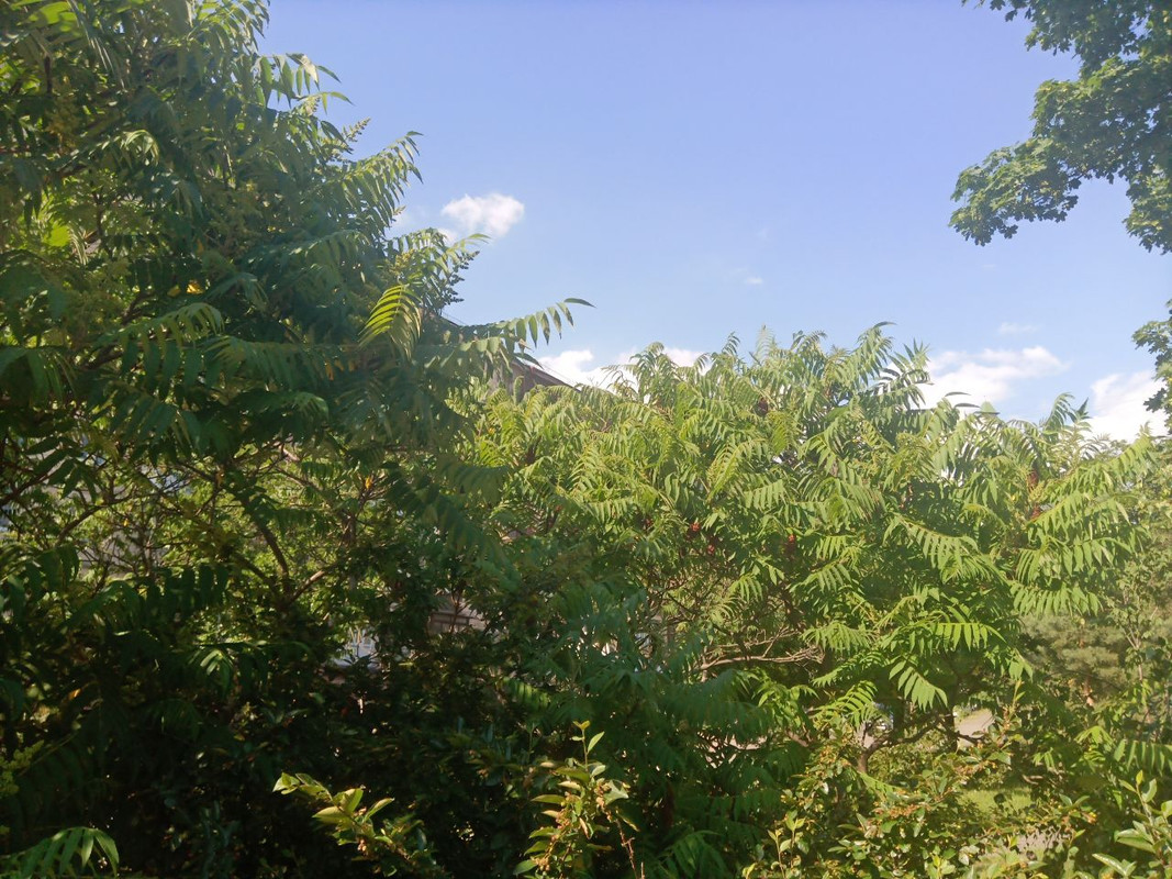 photo_2023-06-09_19-21-50 (2)