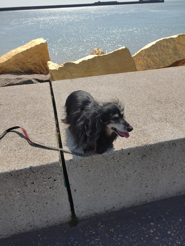 [Image: IMG-20230520-170350.jpg]