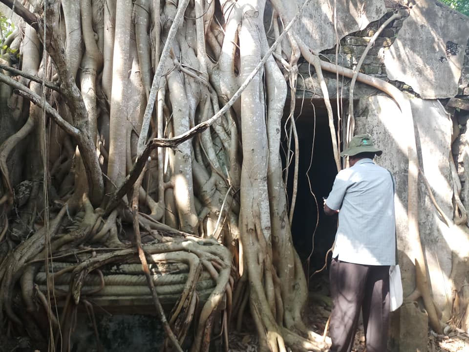 49708661-2002438586540752-83053343179119