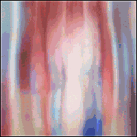 mn1.gif