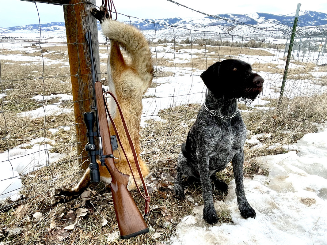 C7872637-8DD8-40B9-A032-47EF3F5E7F15