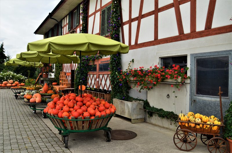 Suiza y sus pueblos-2019 - Blogs de Suiza - APPENZELL-6-9-2019 (6)