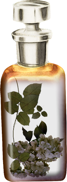 Autumn Witchery (18)