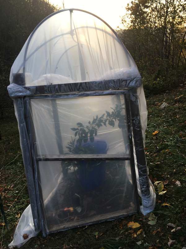 40664B48-6FA1-4A3C-906B-87AD93938CBF