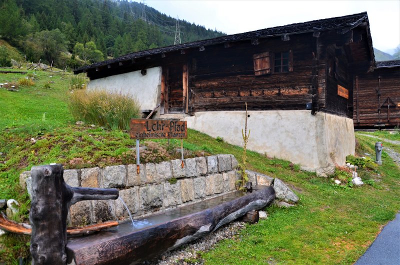 MÜNSTER Y RECKINGEN-8-9-2019 - Suiza y sus pueblos-2019 (12)