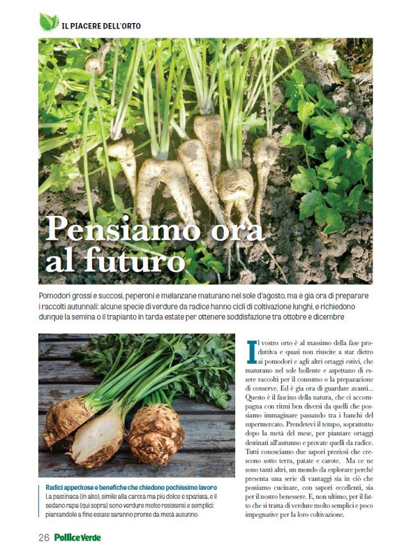 Pol Ver Ago 2024 (5)