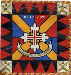 BCac2833