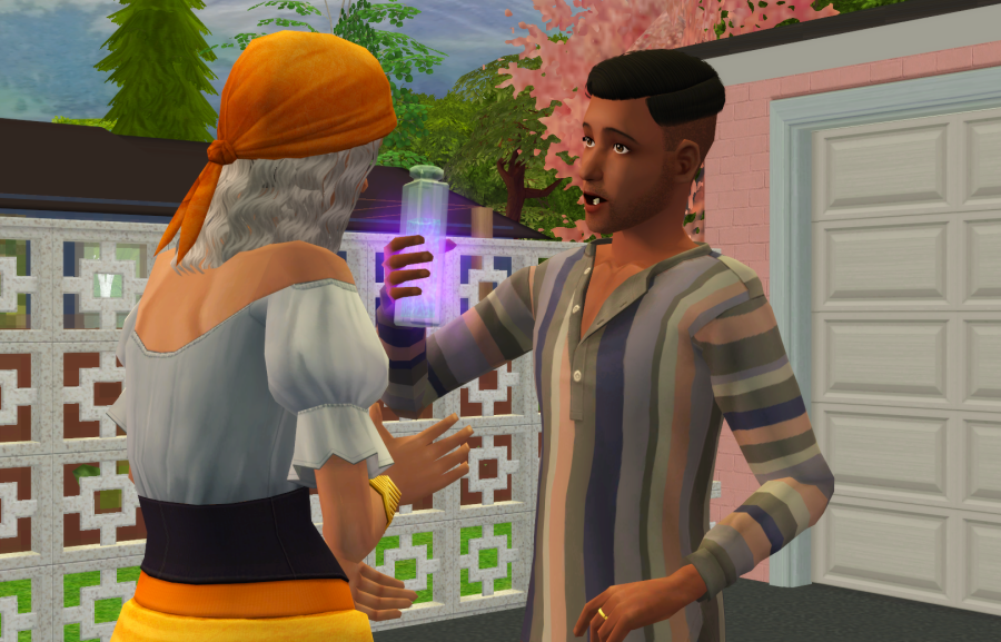 Sims2-EP9-RPC-2021-05-29-20-08-55-53