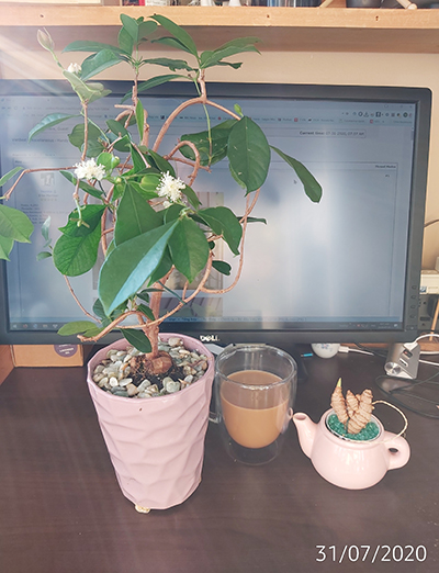 [Image: IMG-20200731-080742.jpg]