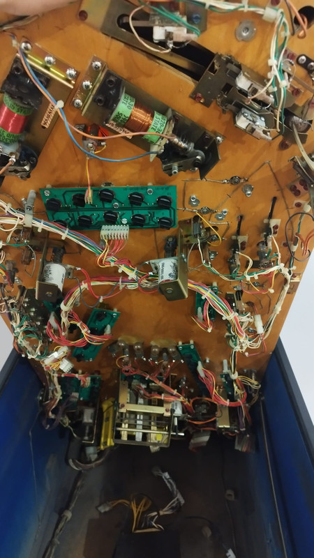 WhatsApp Image 2024-08-21 at 14.02.45 (2)