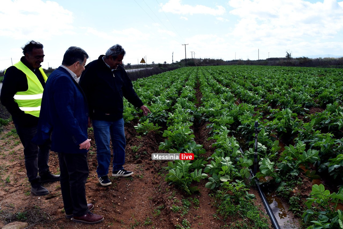 ΑΝΑΣΤΑΣΟΠΟΥΛΟΣDSC_0711