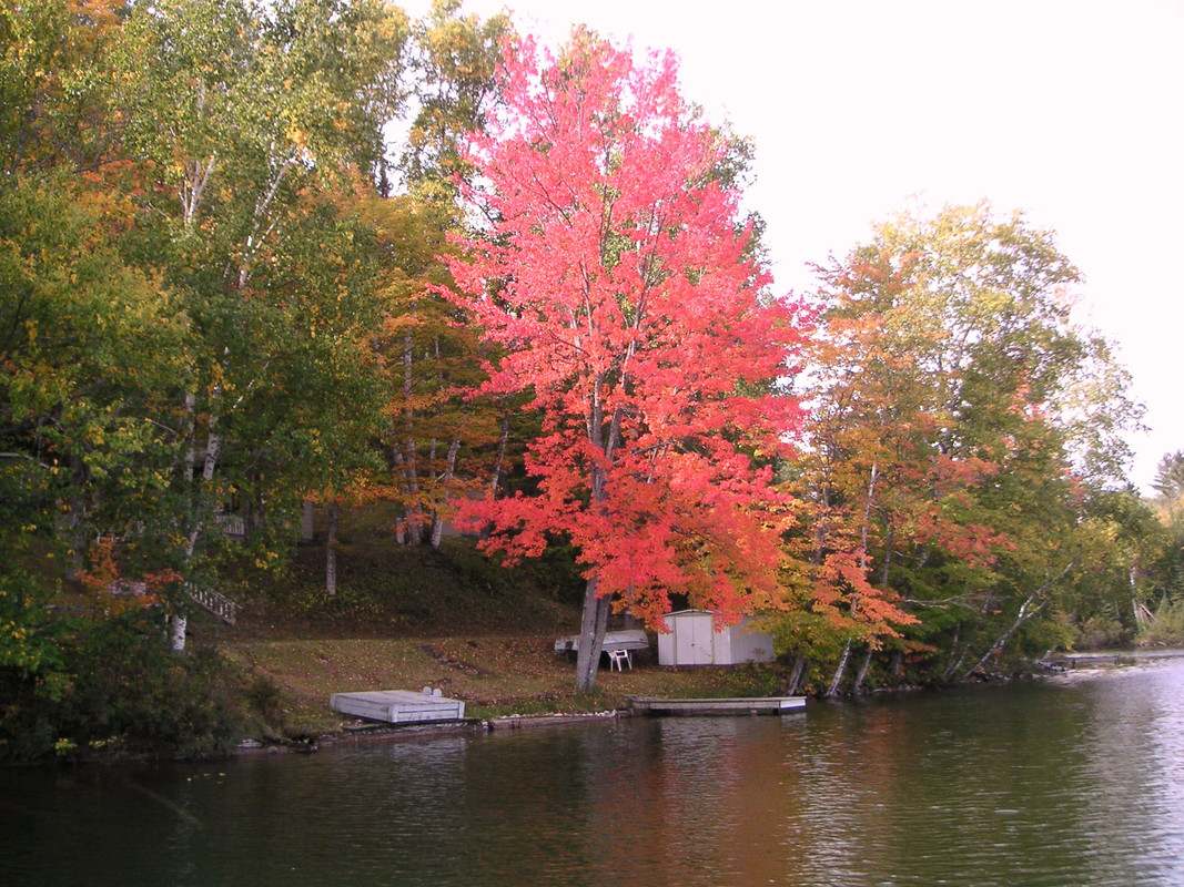 PICT0022
