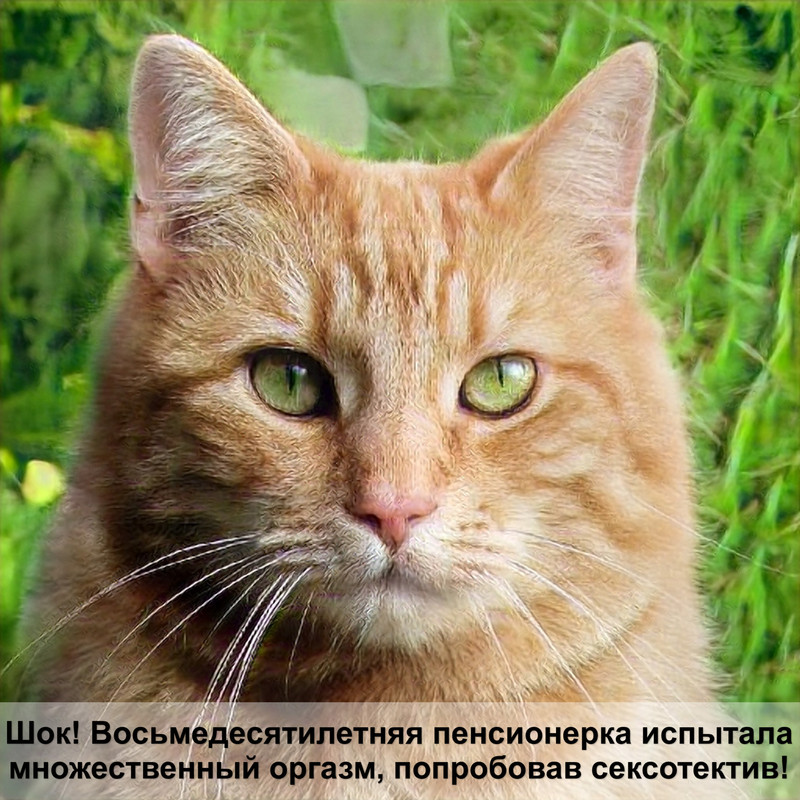 наполнитель для кошек силикагель