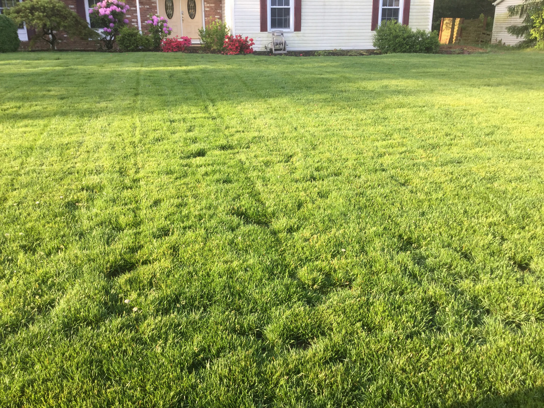 6F40D0E7-8BFF-4CC3-A90D-6A48456728E7